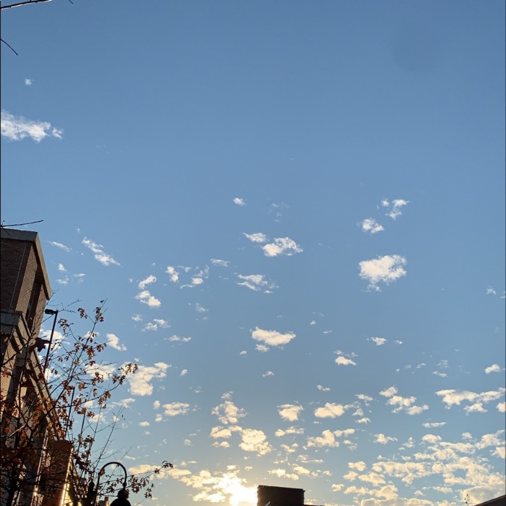 Meet your Posher, Pouya